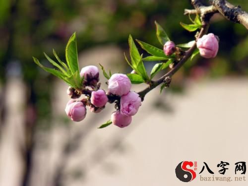 梦见自己约会