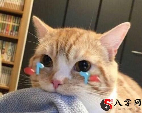 梦见哭醒